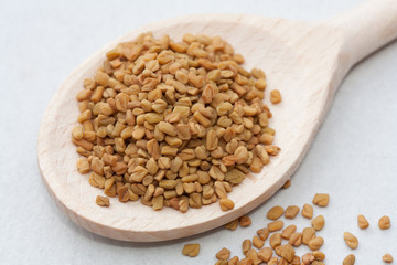 Fenugreek seeds in a spoon.