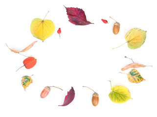 Autumn bright colorful leaves on white background empty space frame.