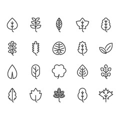 Leaves icon set.Vector illustration