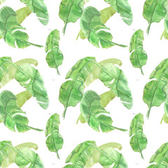 Seamless hand drawn pattern of banana leaves on white background