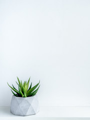 Concrete pot. Modern geometric concrete planter.