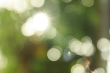 Obraz premium Beautiful nature green bokeh sunshine abstract blurred background, Motion of green bokeh from sunlight shining through the leaves of the trees in the park. Blur motion background.