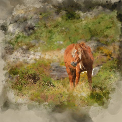 Naklejka premium Digital watercolor painting of Stunning image of wild pony in Snowdonia landscape in Autumn