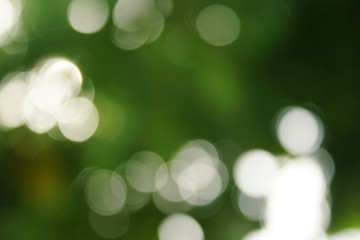 Obraz premium Beautiful nature green bokeh sunshine abstract blurred background, Motion of green bokeh from sunlight shining through the leaves of the trees in the park. Blur motion background.