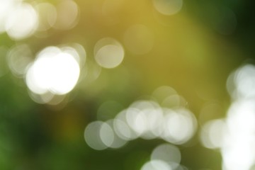 Beautiful nature green bokeh sunshine abstract blurred background,  Motion of green bokeh from...
