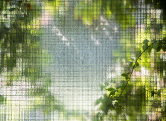 pixelized plants through a security window
