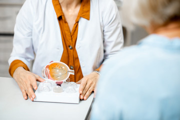Female ophthalmologist showing the eye model to a senior patient during a medical consultation in...