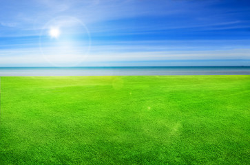 Fototapeta na wymiar beautiful seaside lawn background