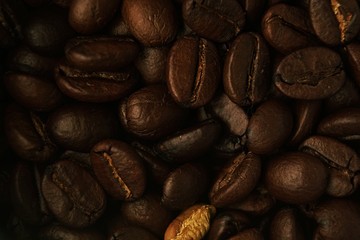 Roasted brown coffee beans as background. Aromatic roasted coffee close up on white background Dark Coffee Grains. Close up of Beautiful seeds of coffee. 