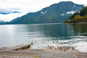 Como lake in autumn