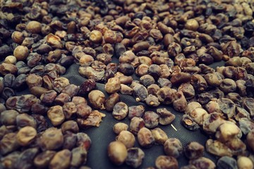 Dried date fruit rotates, background dates, close up. Food background. Organic food. Sunlights on many dates types . summer fruit 