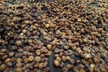 Dried date fruit rotates, background dates, close up. Food background. Organic food. Sunlights on many dates types . summer fruit 