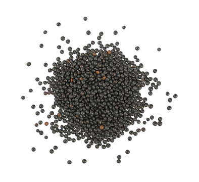 Heap of black Beluga lentil isolated on white