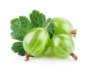 Fresh gooseberry with leaves