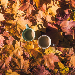 Two cup of coffee standing on the ground with maple leaves in the autumn forest. Aerial vie