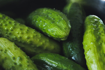 A bunch of green tasty cucumbers.