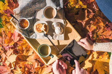 Couple of young people are looking on a tablet having morning breakfast on a wooden tray in the autumn park with colorful maple leaves. Aerial view
