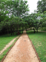 The road in Polonnaruwa, Sri Lanka