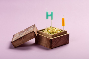 Sprouted seeds in wooden casket with letters