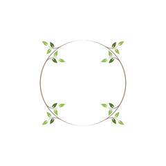 Vintage floral round frames. Green decorative ivy wreath. Vector illustration