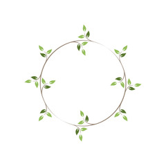 Vintage floral round frames. Green decorative ivy wreath. Vector illustration