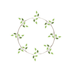 Obraz premium Vintage floral round frames. Green decorative ivy wreath. Vector illustration