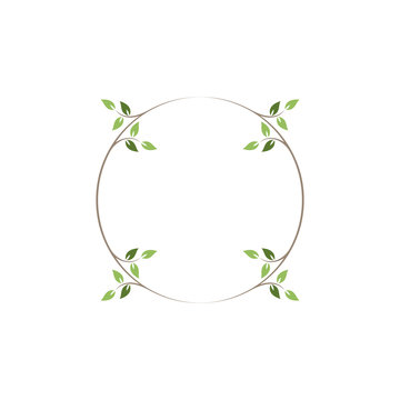 Vintage floral round frames. Green decorative ivy wreath. Vector illustration