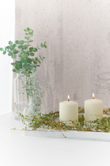 植物とキャンドル