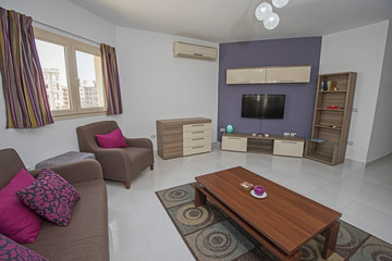 Interior design of luxury apartment living room