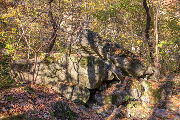 big rocks in the autumnal forest