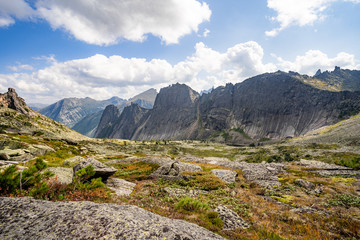 Fototapeta premium Panoramic sunny summer view in taiga forest over sayan mountains, Ergaki national park, Krasnoyarsk region, Siberia, Russia