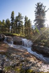 Naklejka premium a beautiful waterfall in the forest. Wildlife, waterfalls in a deserted forest. taiga. strong and tall waterfall in forest