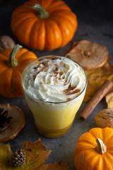 Spiced autumn pumpkin latte drink with cinnamon and cream foam top view with colorful autumn drink