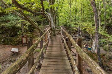 Fototapeta premium Wooden bridge in the forest in Balkan mountains