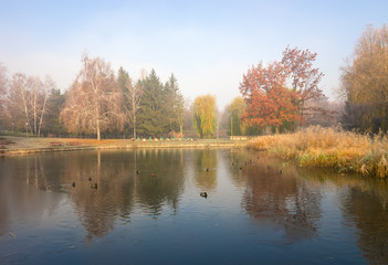 Fototapeta na wymiar Beautiful autumn park with colorful trees reflected in the water