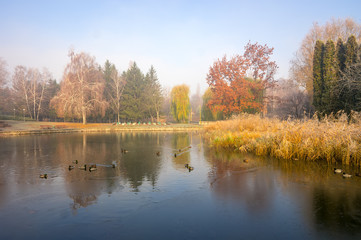 Beautiful autumn park with colorful trees reflected in the water