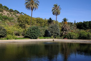 View of the lake with trees to the rear at La Concepcion historical botanical gardens, Malaga, Spain.