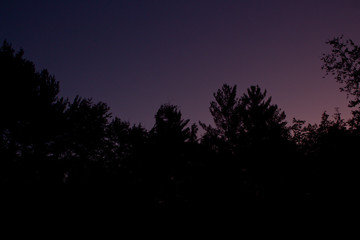 Sunrise Peeking Through the Trees, Lighting up the sky Purple and Pink