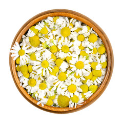 Chamomile blossoms in wooden bowl. Fresh camomile flowers, Matricaria chamomilla, used for herbal infusions and in traditional medicine. Closeup, from above, on white background, isolated macro photo. - obrazy, fototapety, plakaty
