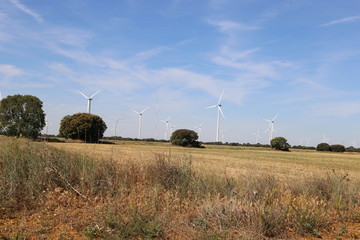 Aerogeneradores