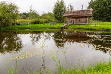 Fototapeta premium pond in the garden