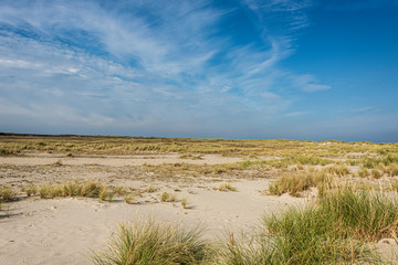 Beautiful tranquil dune landscape and long beach at North Sea
