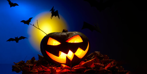 Photo of one pumpkins with burning mouths, bats at night
