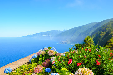 Colorful flowers and beautiful northern coast of Madeira Island, Portugal. Typical Hydrangea,...