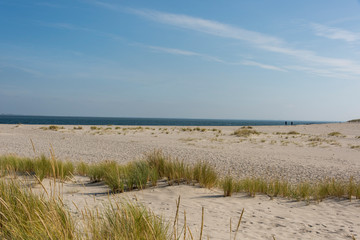 Fototapeta na wymiar Beautiful tranquil dune landscape and long beach at North Sea