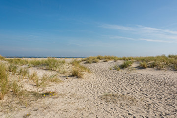 Beautiful tranquil dune landscape and long beach at North Sea
