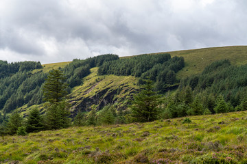Wicklow way landscape, Glendalough vale.