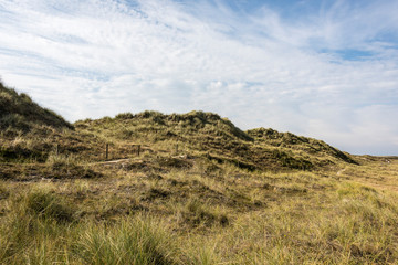Fototapeta na wymiar Beautiful tranquil dune landscape and long beach at North Sea