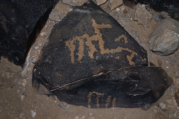 Night  view of a drawing carved in stone by a primitive man in the desert in southern Israel near the Avdat fortress