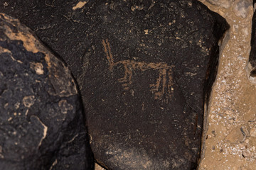 A night  view of a drawing depicting a horned animal carved in stone by a primitive man in the desert in southern Israel near the Avdat fortress